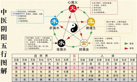 东方属木|探秘五行学说：木元素的意象与独特属性